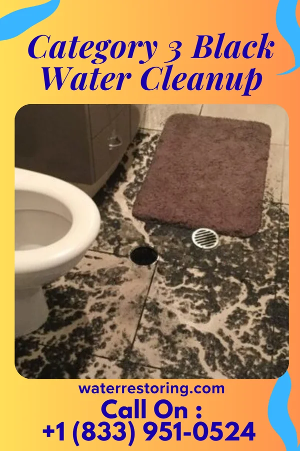 Category 3 Black Water Cleanup in Loa, UT